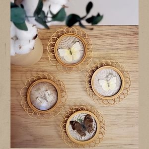 Butterfly coasters (vintage)